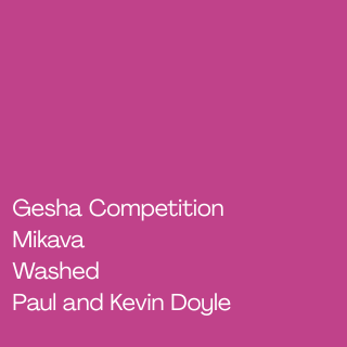 Mikava Gesha Washed Hybrid COMPETITION
